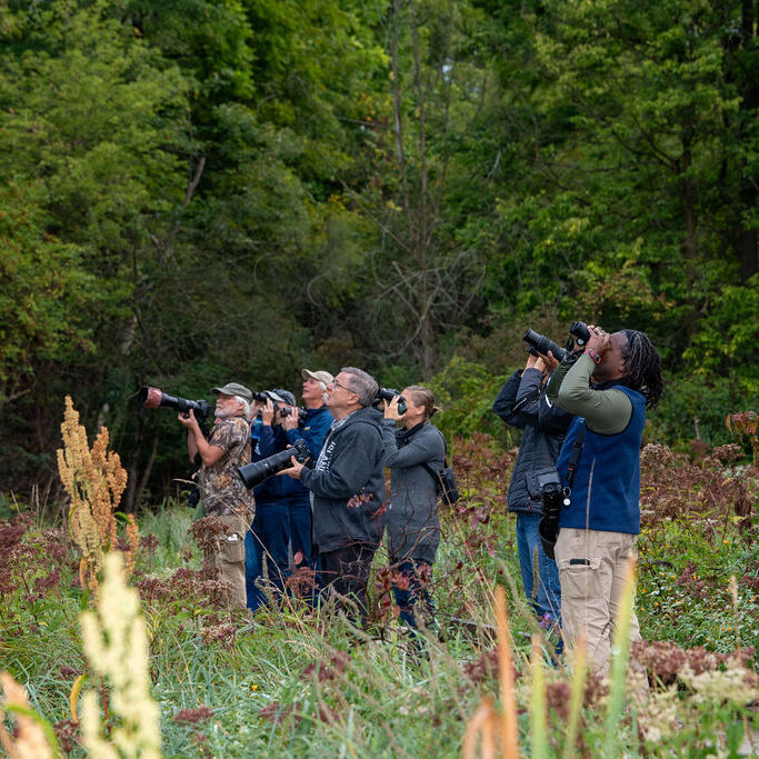 Bird Watching at Ken-O-Sha Park - logo